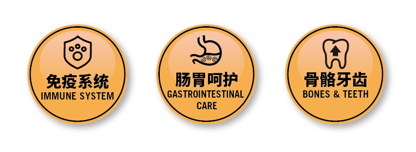 金年会无谷全价成年期犬粮10kg颗粒图-05.png