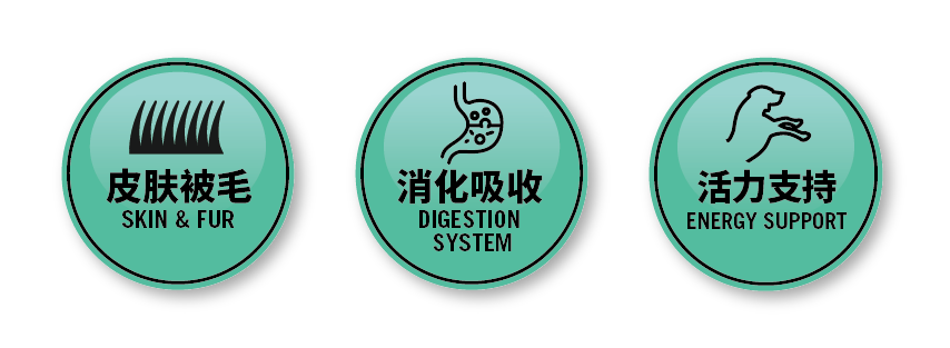 金年会无谷全价小型犬成年期犬粮1.5kg颗粒图-05.png