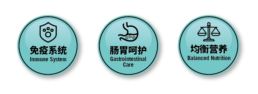 金年会无谷全价幼年期猫粮（奶糕及幼猫）1.5kg颗粒图-05.png