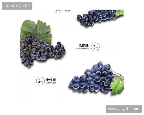 姚明2015红酒的独特魅力与品鉴体验探秘之旅